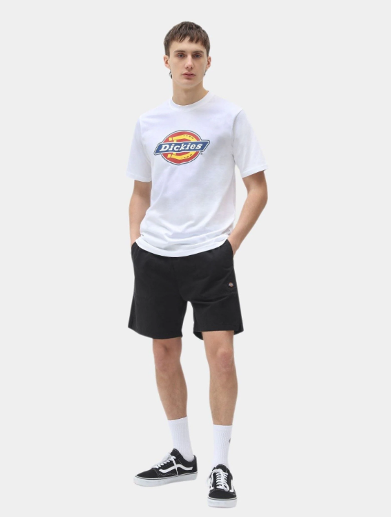 Haine și accesorii Dickies practice și rezistente pentru viața de student activ